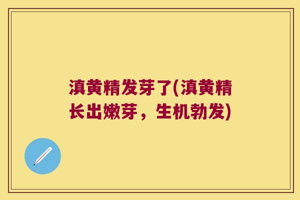滇黄精发芽了(滇黄精长出嫩芽，生机勃发)