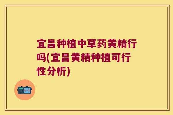 宜昌种植中草药黄精行吗(宜昌黄精种植可行性分析)