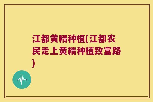 江都黄精种植(江都农民走上黄精种植致富路) 江都黄精种植(江都农民走上黄精种植致富路)