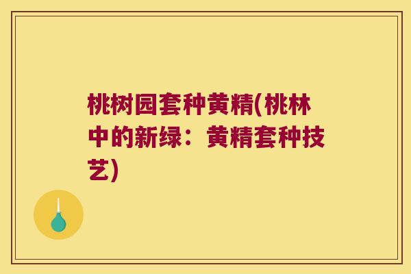 桃树园套种黄精(桃林中的新绿：黄精套种技艺)