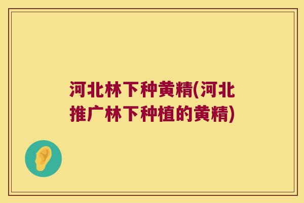 河北林下种黄精(河北推广林下种植的黄精) 河北林下种黄精(河北推广林下种植的黄精)