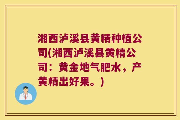 湘西泸溪县黄精种植公司(湘西泸溪县黄精公司:黄金地气肥水,产黄精出好果。) 湘西泸溪县黄精种植公司(湘西泸溪县黄精公司:黄金地气肥水,产黄精出好果。)