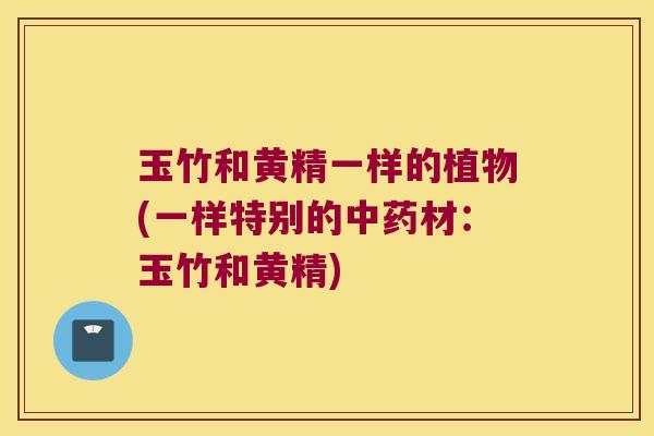 玉竹和黄精一样的植物(一样特别的材：玉竹和黄精)