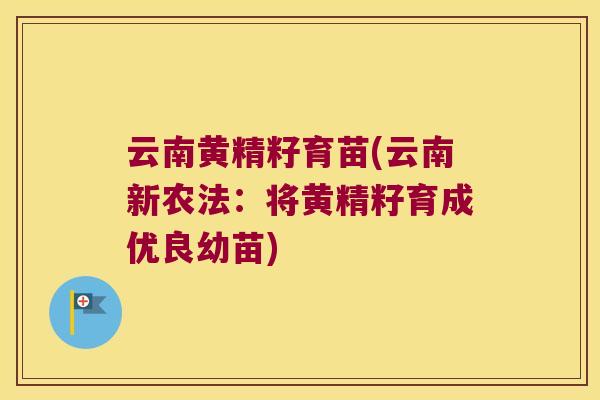 云南黄精籽育苗(云南新农法:将黄精籽育成优良幼苗) 云南黄精籽育苗(云南新农法:将黄精籽育成优良幼苗)