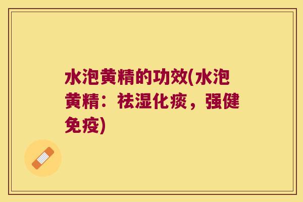 水泡黄精的功效(水泡黄精：祛湿化痰，强健)
