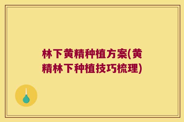林下黄精种植方案(黄精林下种植技巧梳理)
