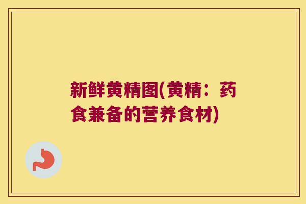 新鲜黄精图(黄精:药食兼备的营养食材) 新鲜黄精图(黄精:药食兼备的营养食材)