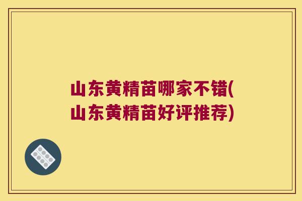 山东黄精苗哪家不错(山东黄精苗好评推荐)