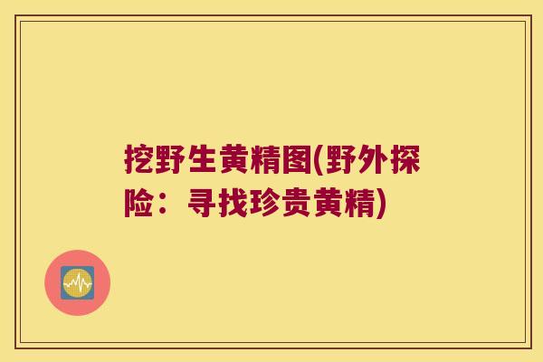 挖野生黄精图(野外探险：寻找珍贵黄精)