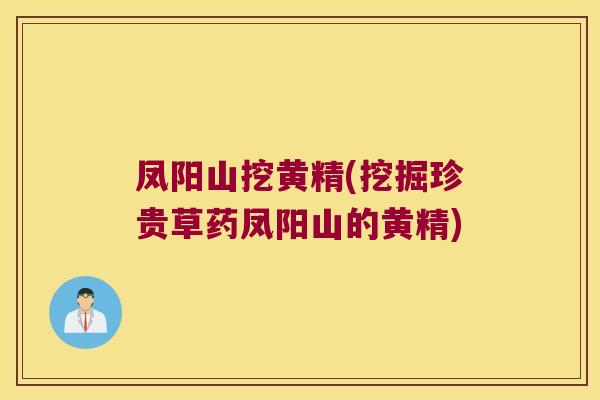 凤阳山挖黄精(挖掘珍贵草药凤阳山的黄精)