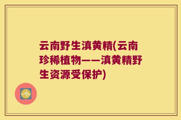 云南野生滇黄精(云南珍稀植物——滇黄精野生资源受保护) 云南野生滇黄精(云南珍稀植物——滇黄精野生资源受保护)