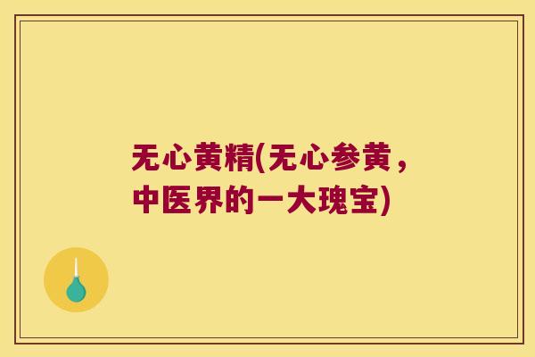 无心黄精(无心参黄,中医界的一大瑰宝) 无心黄精(无心参黄,中医界的一大瑰宝)