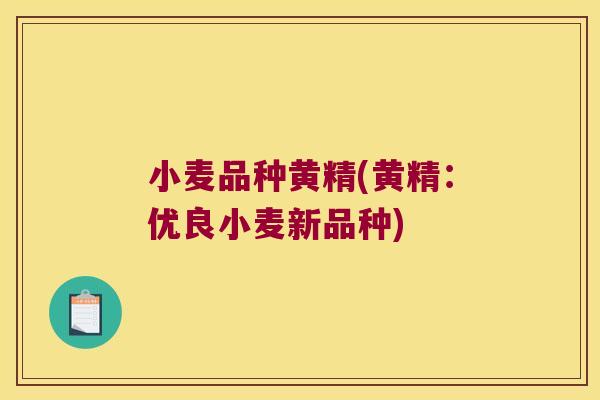 小麦品种黄精(黄精：优良小麦新品种)