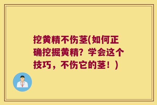 挖黄精不伤茎(如何正确挖掘黄精？学会这个技巧，不伤它的茎！)