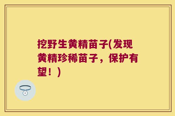 挖野生黄精苗子(发现黄精珍稀苗子,保护有望!) 挖野生黄精苗子(发现黄精珍稀苗子,保护有望!)