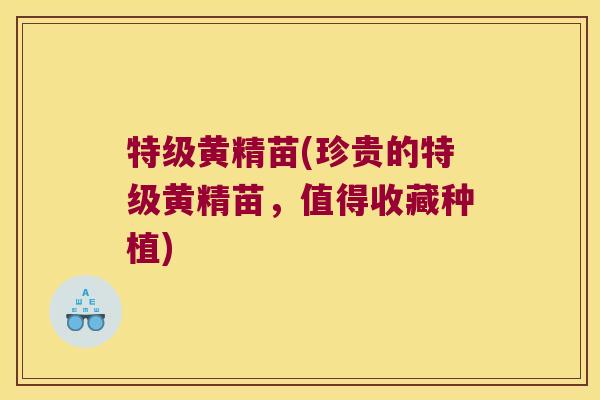 特级黄精苗(珍贵的特级黄精苗，值得收藏种植)