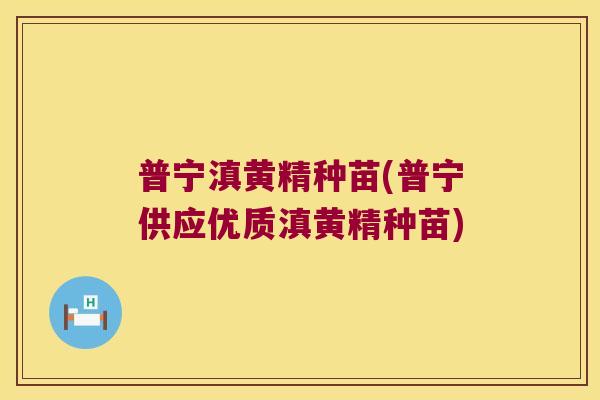 普宁滇黄精种苗(普宁供应优质滇黄精种苗) 普宁滇黄精种苗(普宁供应优质滇黄精种苗)