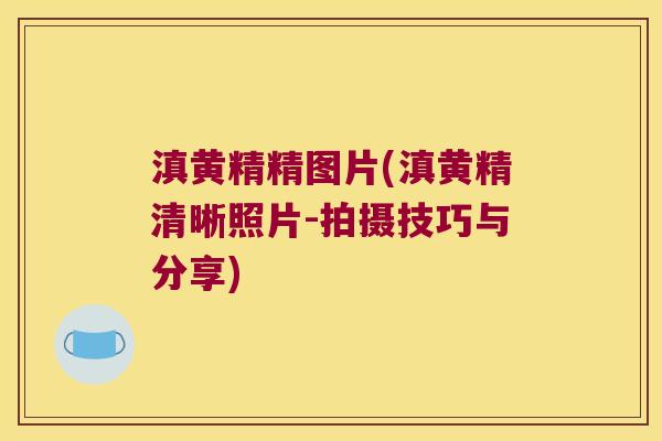 滇黄精精图片(滇黄精清晰照片-拍摄技巧与分享)