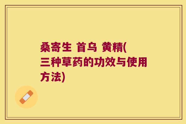 桑寄生 首乌 黄精(三种草药的功效与使用方法) 桑寄生 首乌 黄精(三种草药的功效与使用方法)