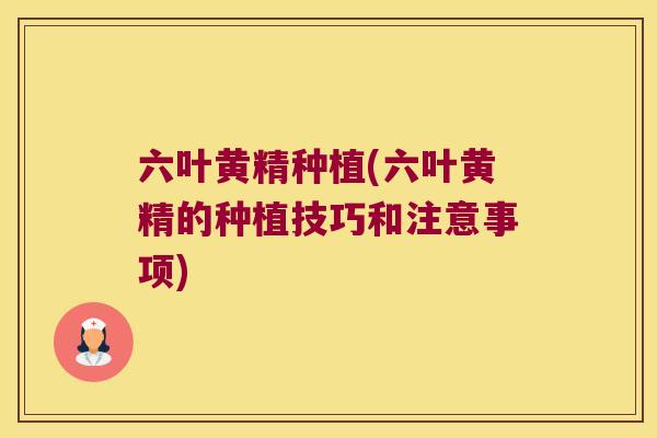 六叶黄精种植(六叶黄精的种植技巧和注意事项)
