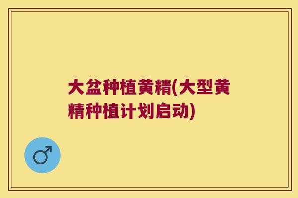 大盆种植黄精(大型黄精种植计划启动)