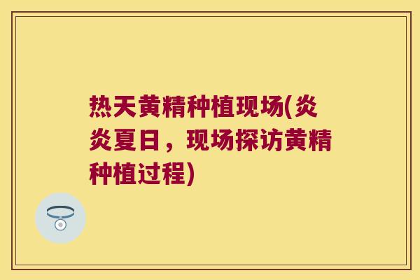 热天黄精种植现场(炎炎夏日，现场探访黄精种植过程)