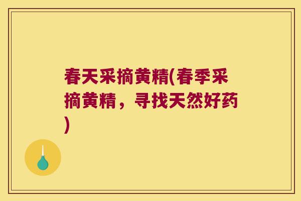 春天采摘黄精(春季采摘黄精,寻找天然好药) 春天采摘黄精(春季采摘黄精,寻找天然好药)