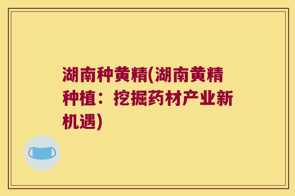 湖南种黄精(湖南黄精种植:挖掘药材产业新机遇) 湖南种黄精(湖南黄精种植:挖掘药材产业新机遇)