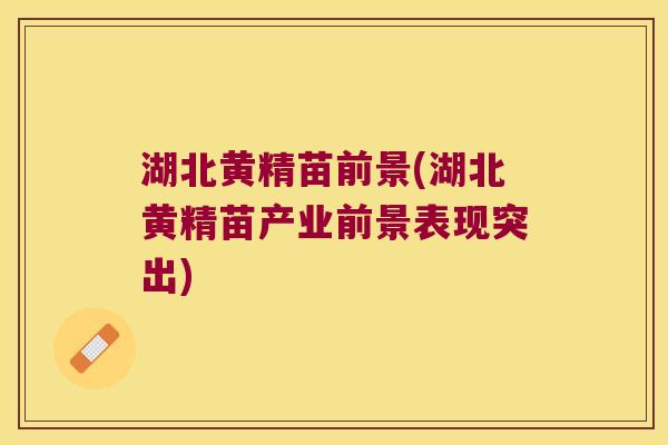 湖北黄精苗前景(湖北黄精苗产业前景表现突出)