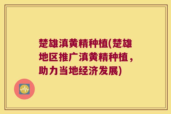 楚雄滇黄精种植(楚雄地区推广滇黄精种植,助力当地经济发展) 楚雄滇黄精种植(楚雄地区推广滇黄精种植,助力当地经济发展)