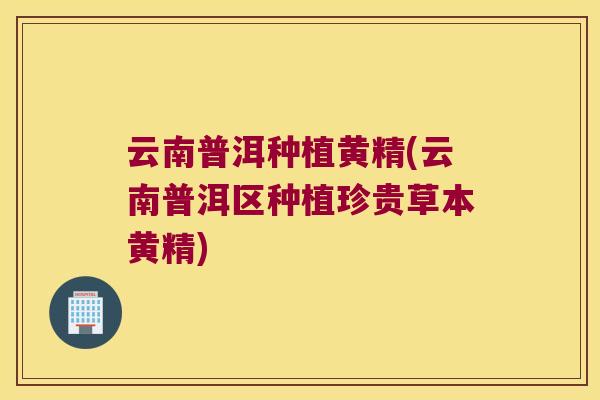 云南普洱种植黄精(云南普洱区种植珍贵草本黄精) 云南普洱种植黄精(云南普洱区种植珍贵草本黄精)