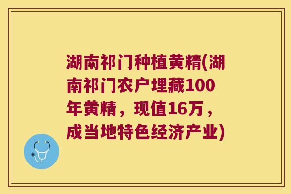 湖南祁门种植黄精(湖南祁门农户埋藏100年黄精，现值16万，成当地特色经济产业)