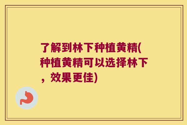了解到林下种植黄精(种植黄精可以选择林下，效果更佳)