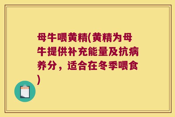 母牛喂黄精(黄精为母牛提供补充能量及抗养分,适合在冬季喂食) 母牛喂黄精(黄精为母牛提供补充能量及抗养分,适合在冬季喂食)