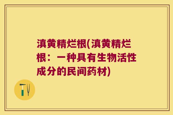 滇黄精烂根(滇黄精烂根：一种具有生物活性成分的民间药材)