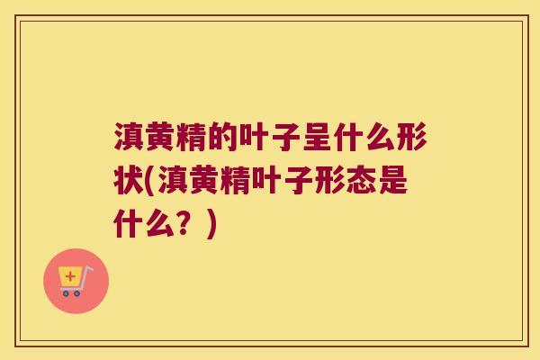 滇黄精的叶子呈什么形状(滇黄精叶子形态是什么？)