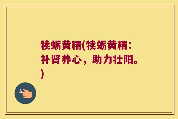 犊蛎黄精(犊蛎黄精:补养心,助力壮阳。) 犊蛎黄精(犊蛎黄精:补养心,助力壮阳。)