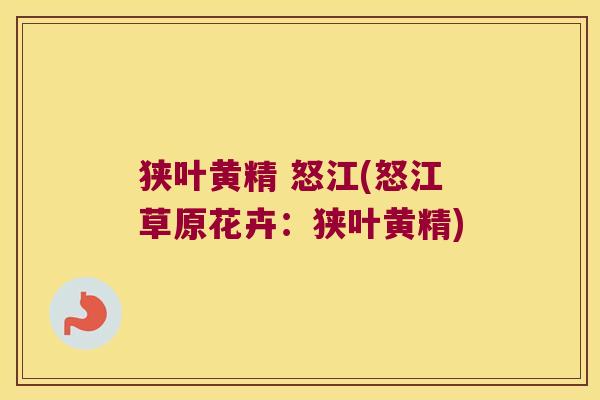 狭叶黄精 怒江(怒江草原花卉:狭叶黄精) 狭叶黄精 怒江(怒江草原花卉:狭叶黄精)