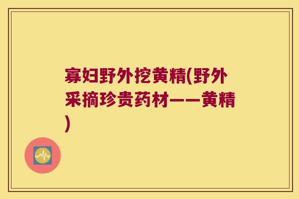 寡妇野外挖黄精(野外采摘珍贵药材——黄精)