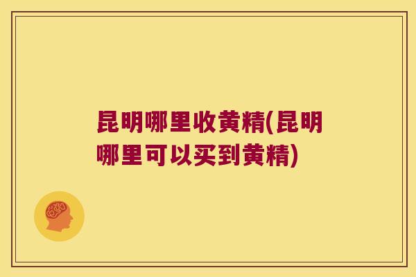 昆明哪里收黄精(昆明哪里可以买到黄精) 昆明哪里收黄精(昆明哪里可以买到黄精)