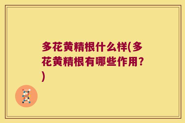 多花黄精根什么样(多花黄精根有哪些作用？)