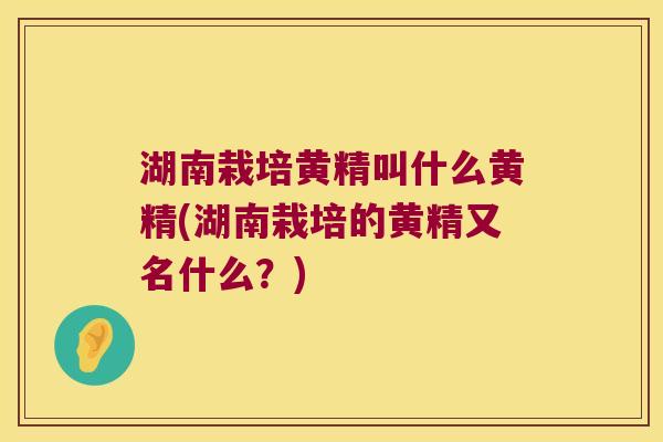湖南栽培黄精叫什么黄精(湖南栽培的黄精又名什么？)