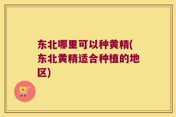 东北哪里可以种黄精(东北黄精适合种植的地区)