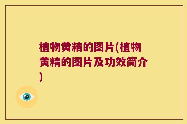 植物黄精的图片(植物黄精的图片及功效简介)