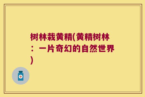 树林栽黄精(黄精树林：一片奇幻的自然世界)