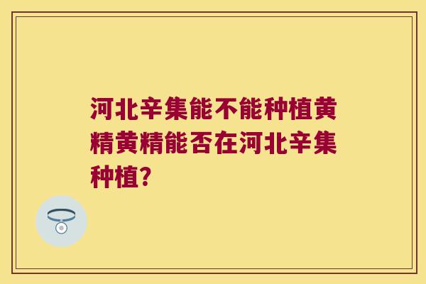 河北辛集能不能种植黄精黄精能否在河北辛集种植？