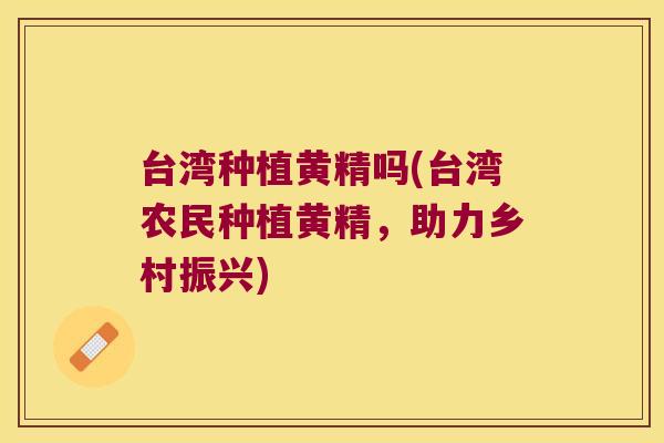 台湾种植黄精吗(台湾农民种植黄精，助力乡村振兴)