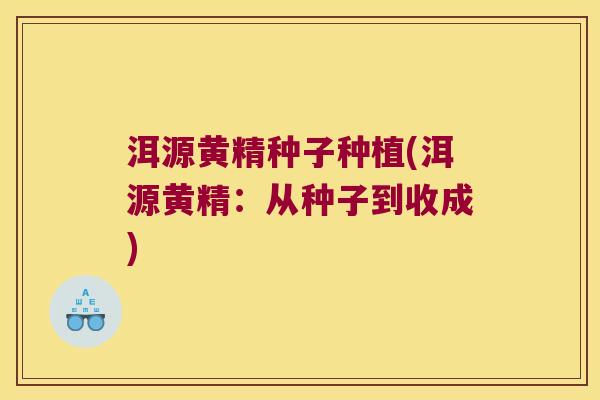 洱源黄精种子种植(洱源黄精：从种子到收成)