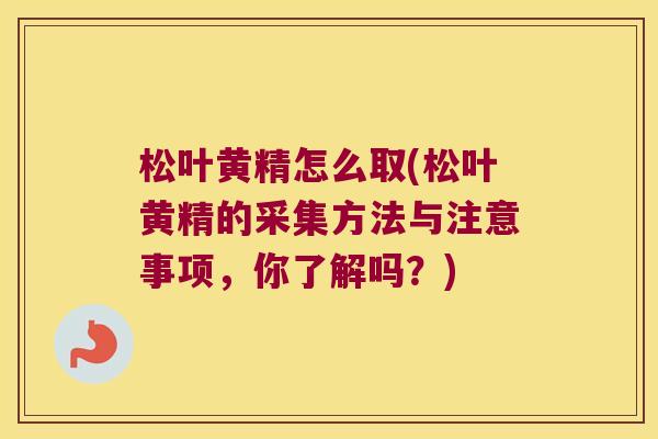 松叶黄精怎么取(松叶黄精的采集方法与注意事项，你了解吗？)