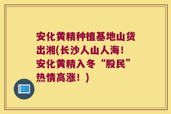 安化黄精种植基地山货出湘(长沙人山人海!安化黄精入冬“股民”热情高涨!) 安化黄精种植基地山货出湘(长沙人山人海!安化黄精入冬“股民”热情高涨!)
